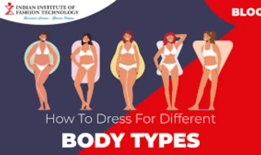 understanding body types