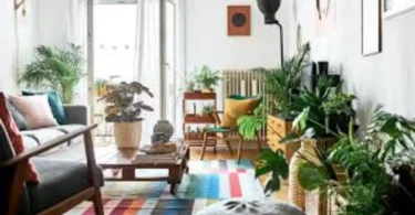 budget lifestyle ideas