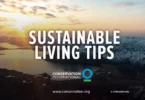sustainable living tips