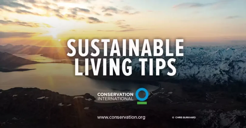 sustainable living tips
